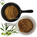 Hot sale Natural bulk olive leaf extract 40%